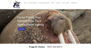 Trygg Air, an Alaska Air Taxi providing custom wildlife flightseeing, backcountry skiing, national park flights and more